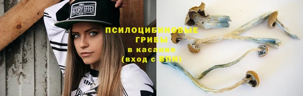 первитин Пролетарск