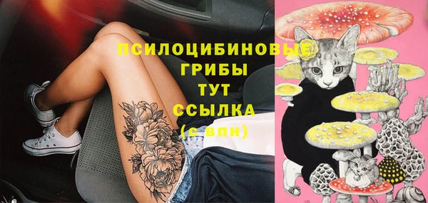 мяу мяу мука Армянск