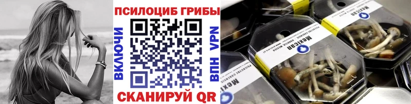 Псилоцибиновые грибы GOLDEN TEACHER Осташков