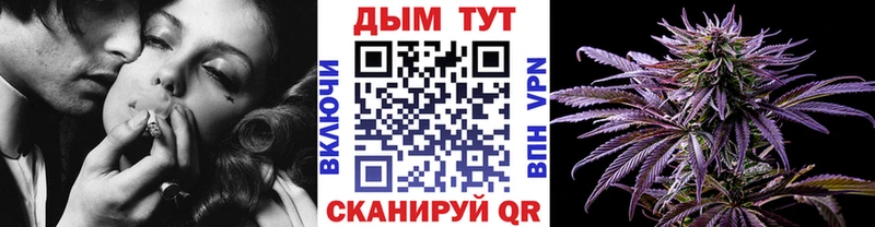 МАРИХУАНА сатива  Осташков 